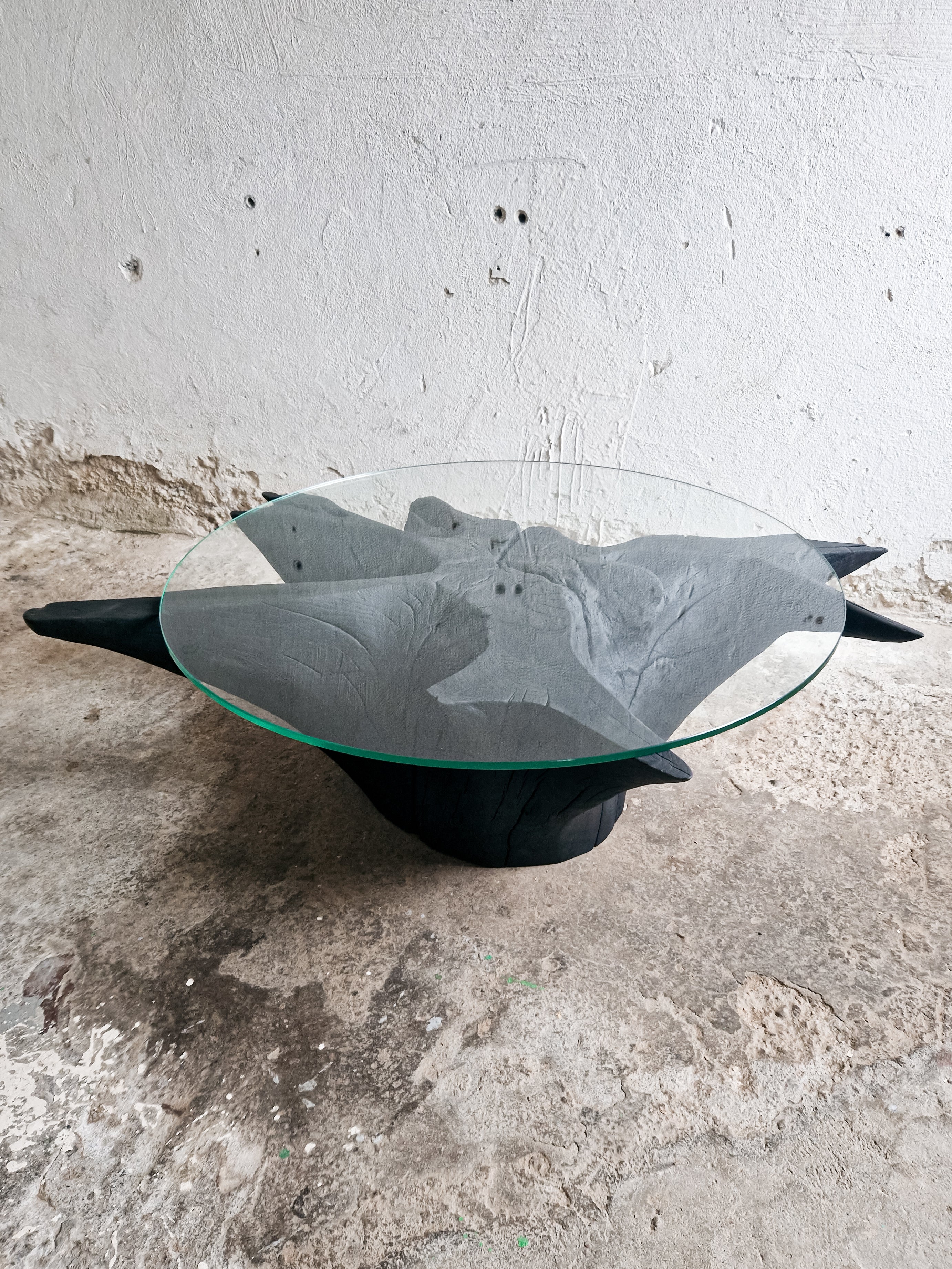 Modern Root Coffee Table