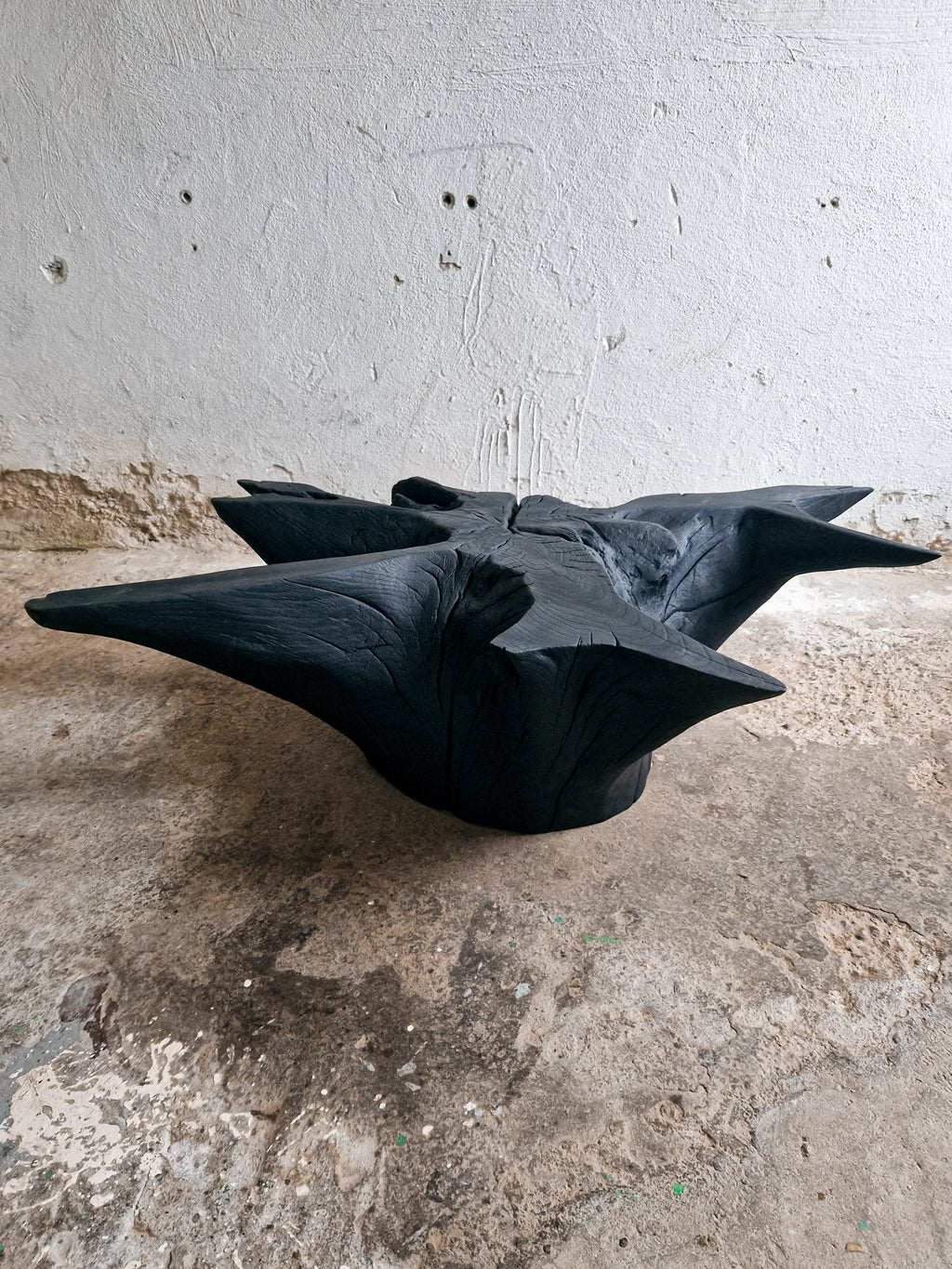 Modern Root Coffee Table